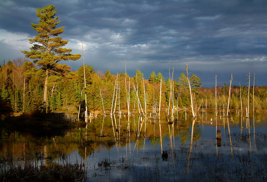 Wetlands Photograph - A Fleeting Sunset Moment by Linda McRae