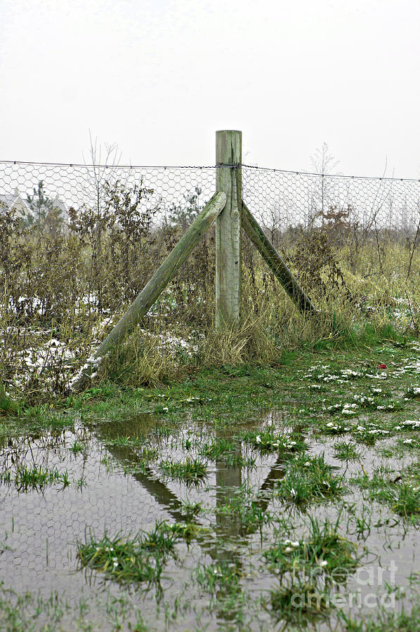 A flooded field Photograph by Tom Gowanlock