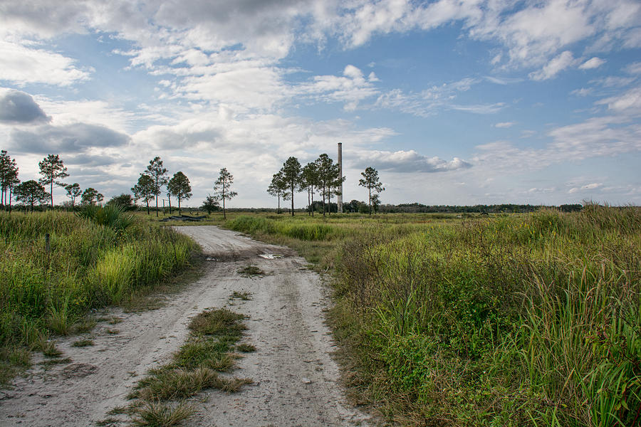 A Florida Ghost Town - Brewster Florida Photograph by John Black