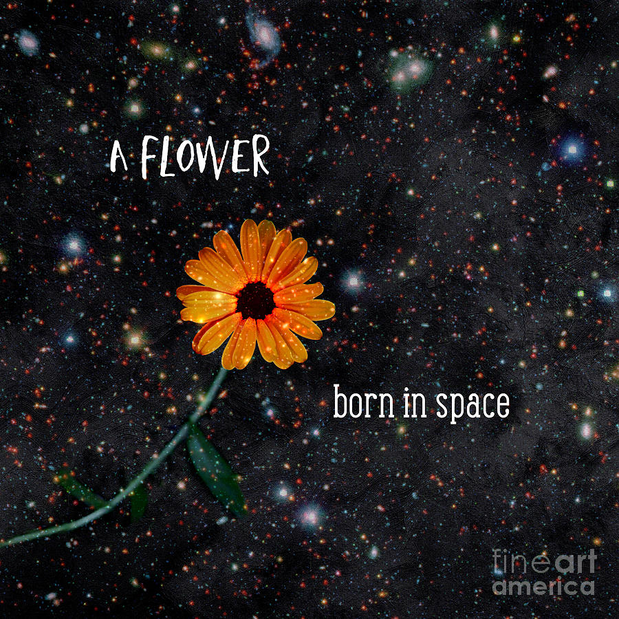 A Flower Born In Space Photograph by Renee Trenholm