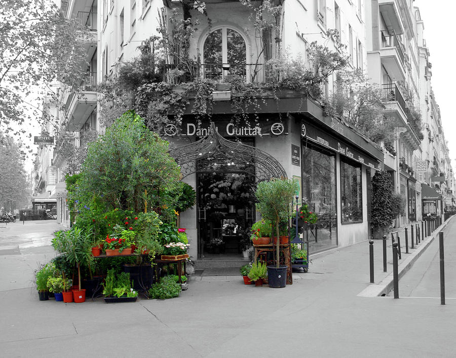 A Flower Shop in Paris Photograph by Tom Reynen