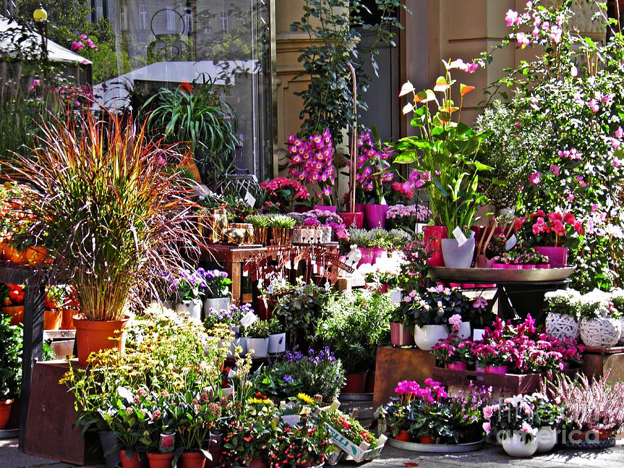 Flower Photograph - A Flower Shop in Wiesbaden by Sarah Loft