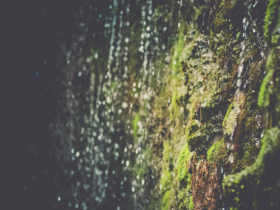 Rock Photograph - A Flowing Rock by Trance Blackman Rock Photograph - A Flowing Rock by Trance Blackman