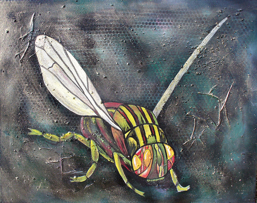 A Fly Painting by Sarah Crumpler