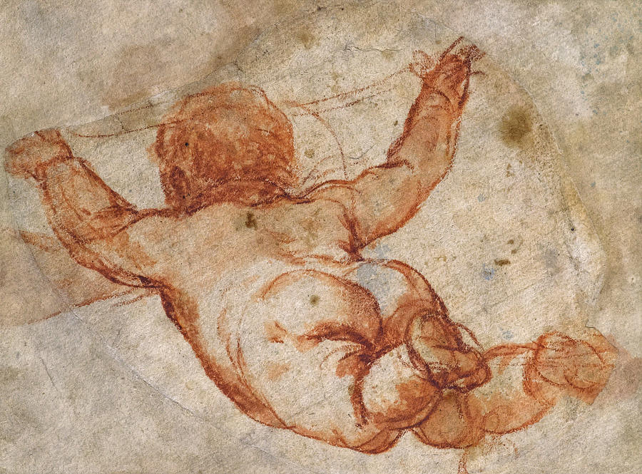 A flying Putto seen from behind Drawing by Mattia Preti