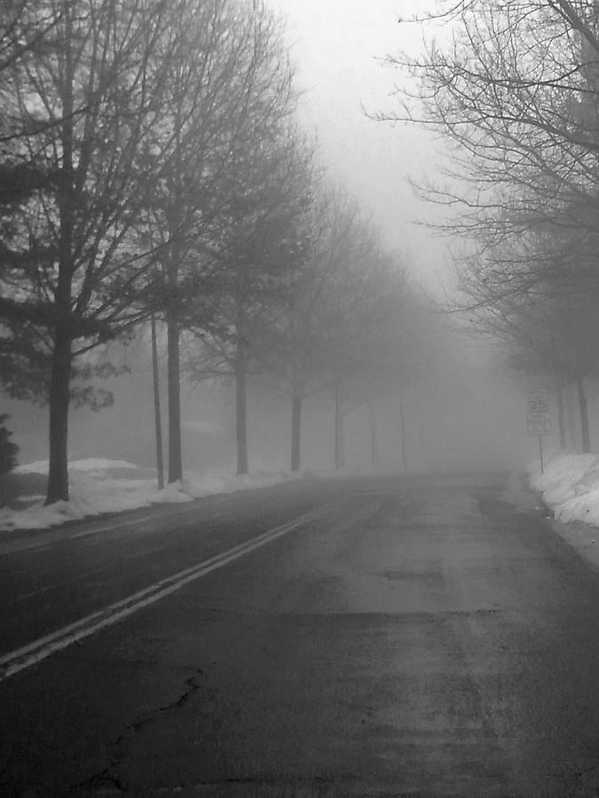 Winter Photograph - A Foggy Afternoon In Maryland by Emmy Marie Vickers