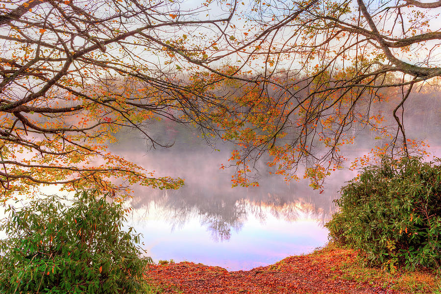 A Foggy Autumn on Price Lake in the Blue Ridge Photograph by Dan Carmichael
