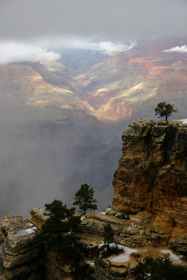 Grand Canyon National Park Photograph - A Foggy Day at the Grand Canyon by Brian M Lumley