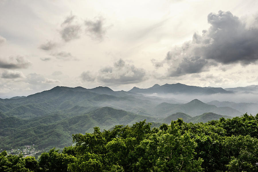 A foggy mountain view from Mt Moiwa in Sapporo - Hokkaido, Japan Photograph by Ellie Teramoto