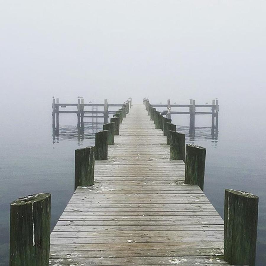 Seagull Photograph - A Foggy New England Day by Kate Arsenault