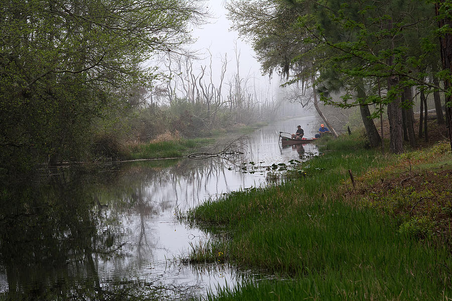 A Foggy Swamp Morning Photograph by Kenneth Albin