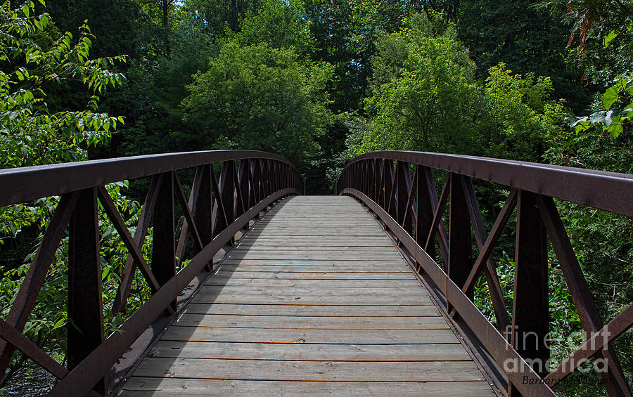 A Footbridge To The Woods Photograph by Barbara McMahon