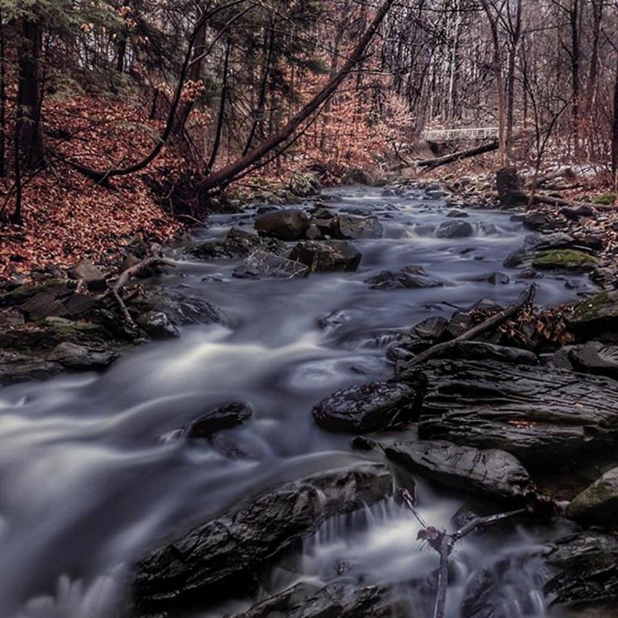 Nature Photograph - A Forest Dream 
#stream #forest by Blake Butler