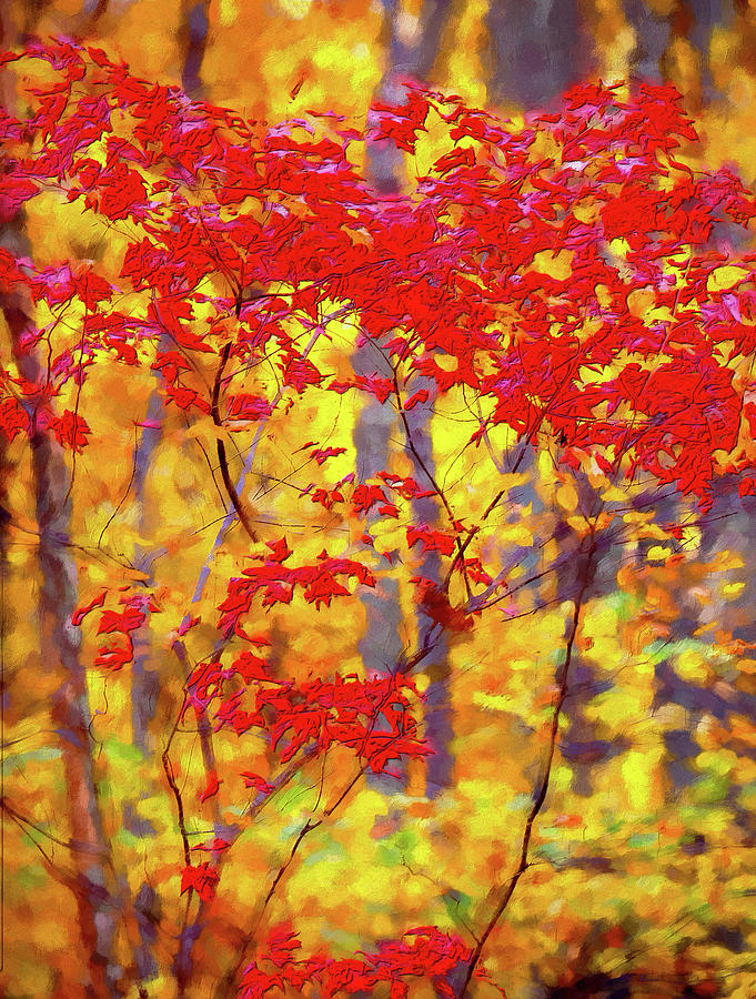 A Forest on Fire AP Digital Art by Dan Carmichael