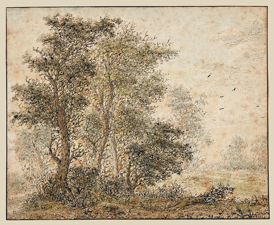 A Forest Scene Drawing by Adriaen Hendricksz Verboom