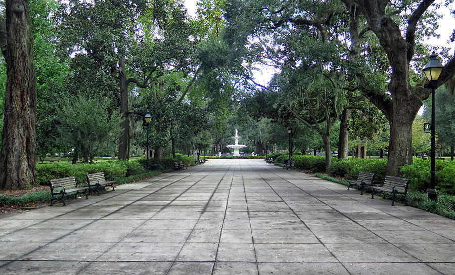 A Forsyth Park View Photograph by Dave Mills