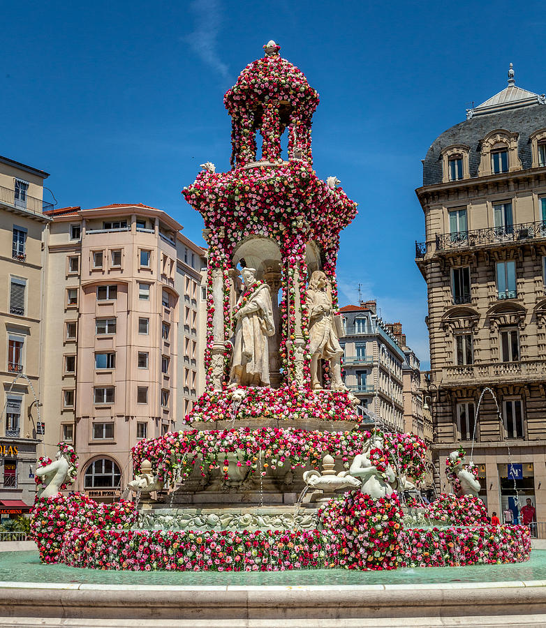 Rose Photograph - A Fountain of Flowers by W Chris Fooshee