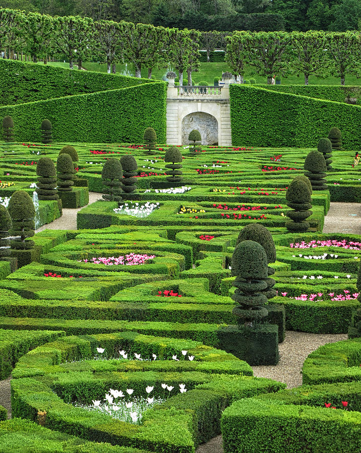 A French Garden Photograph by Dave Mills