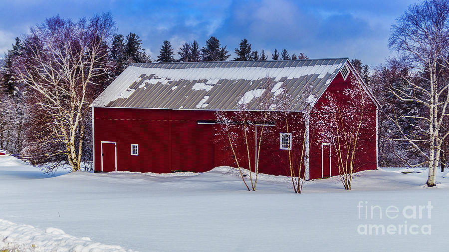 A fresh coating of snow near Stowe Photograph by Scenic Vermont Photography