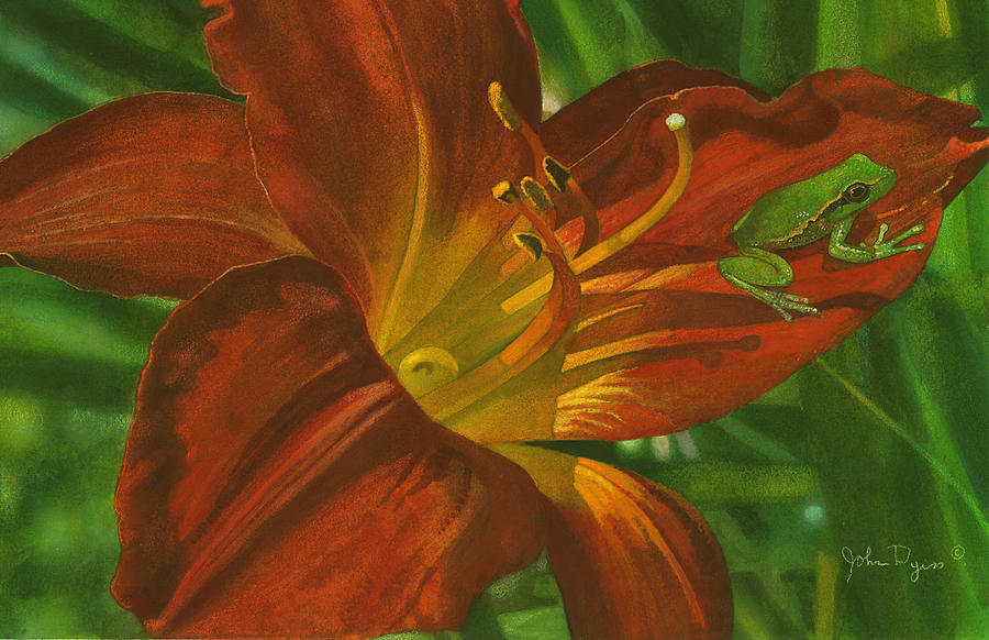 A frog on a lily Painting by John Dyess