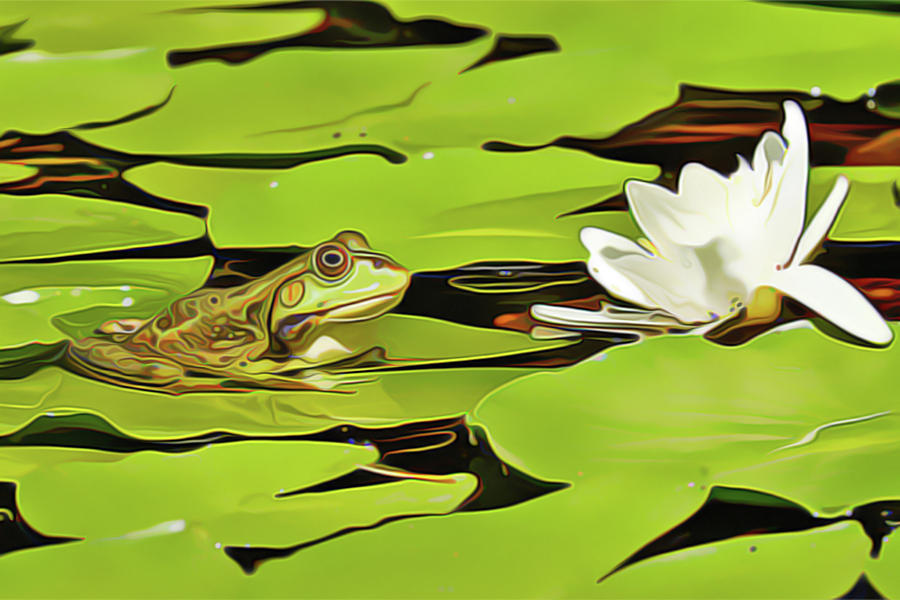 A Frogs Peace Painting by Harry Warrick