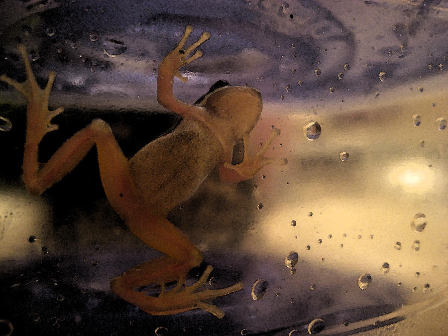 A Frogs World Digital Art by Holly Ethan