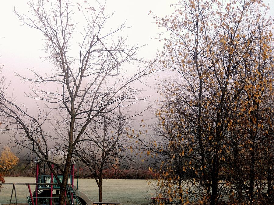 A Frosty November Morning Photograph