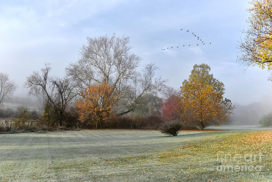 A Frosty November Morning Photograph by Lois Bryan