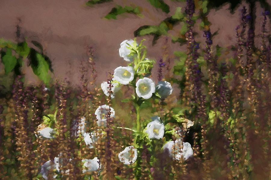 A Garden Digital Art by Ernest Echols