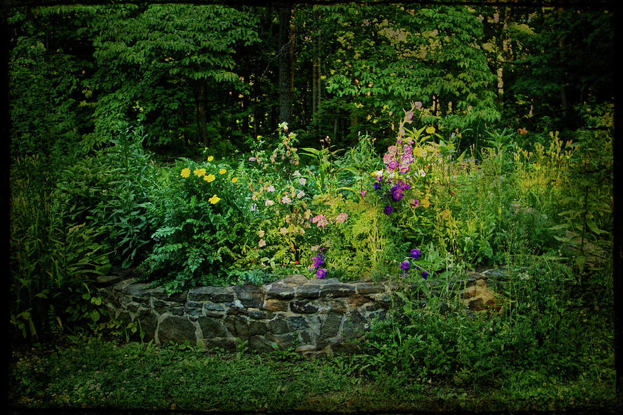 A Garden In The Woods Photograph by Carol Senske