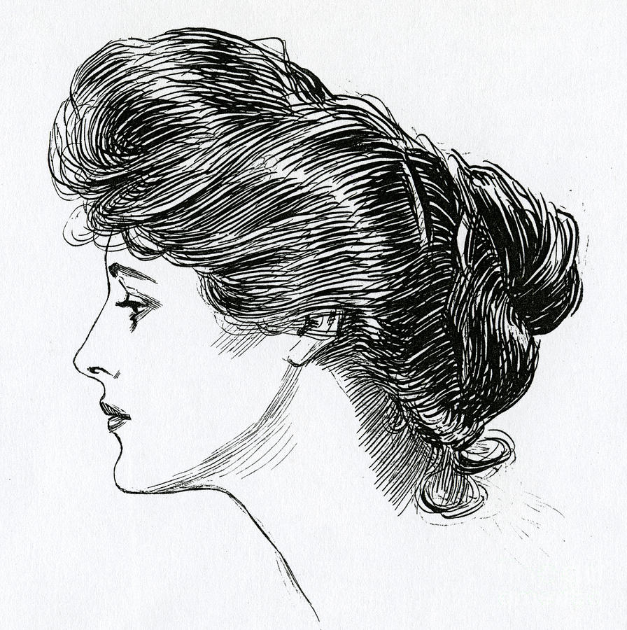 A Gibson Girl 1902 By Charles Dana Gibson