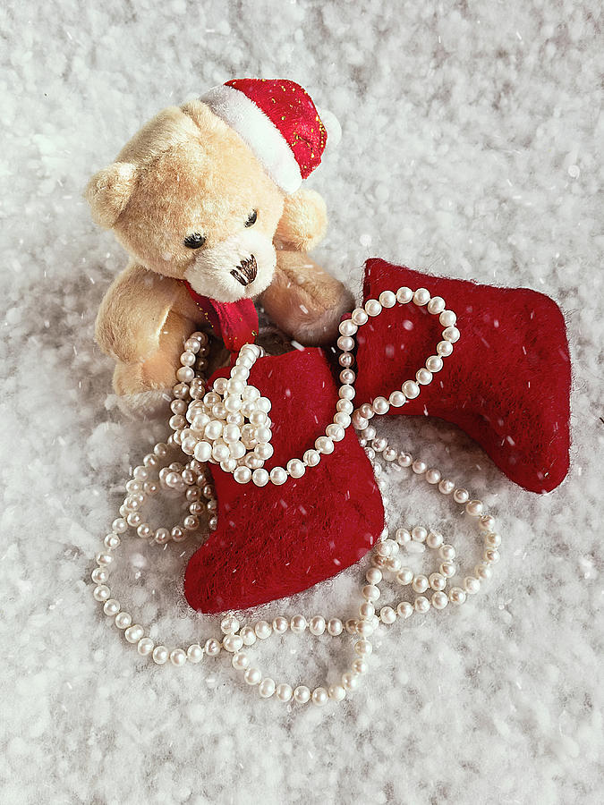 A gift from Santa Claus Photograph by Marina Usmanskaya