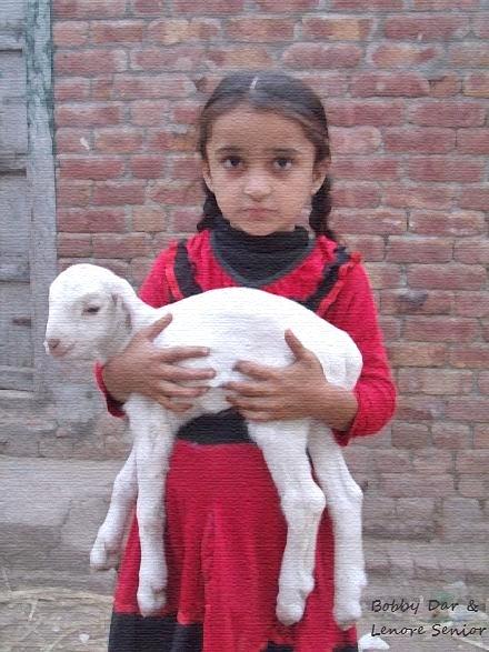 Goat Photograph - A Girl and Her Goat by Lenore Senior