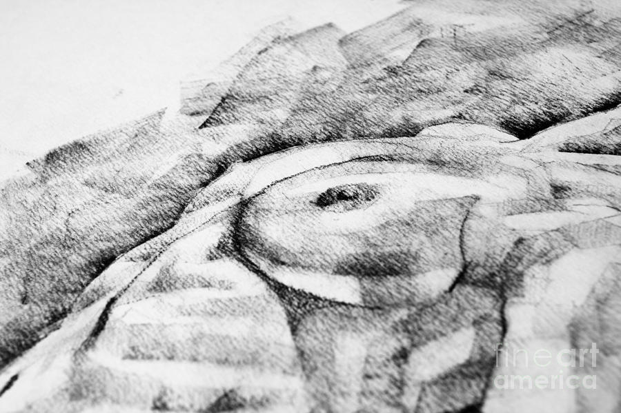 A girl poses Breast Close Up Art Drawing Drawing by Dimitar Hristov
