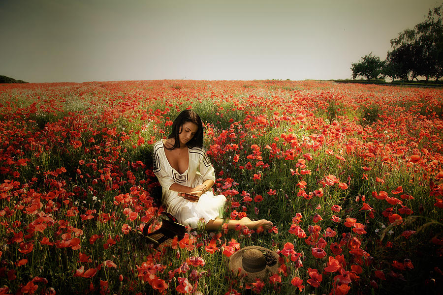 A girl reading amongst he Poppies Photograph by Mark Egerton