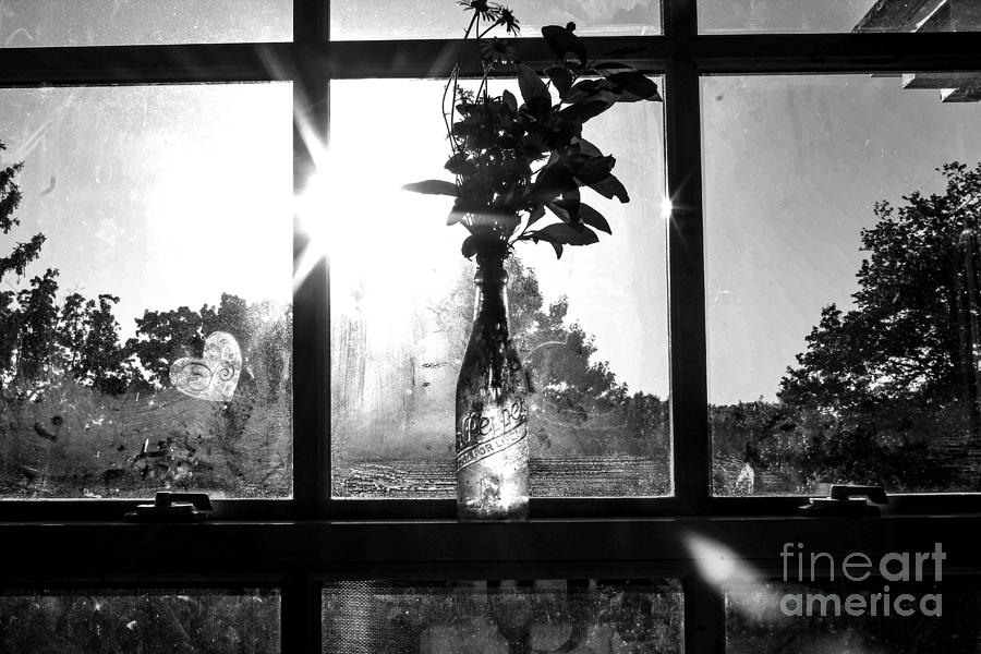 Flower Photograph - A Glass bottle on a windowsill by Taylor McLaurin