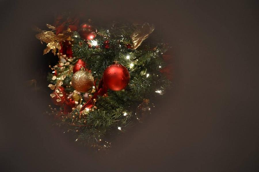 Danielle Fraser Instagram A Glimpse Of Christmas Digital Art By Danielle Fraser