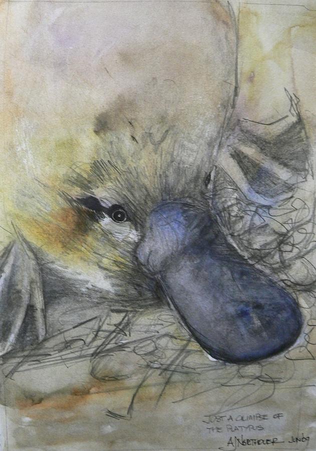 Mammal Painting - A Glimpse of the Platypus by Tony Northover