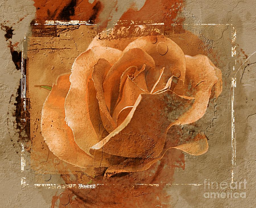 Rose Photograph - A Gold Vintage by Clare Bevan