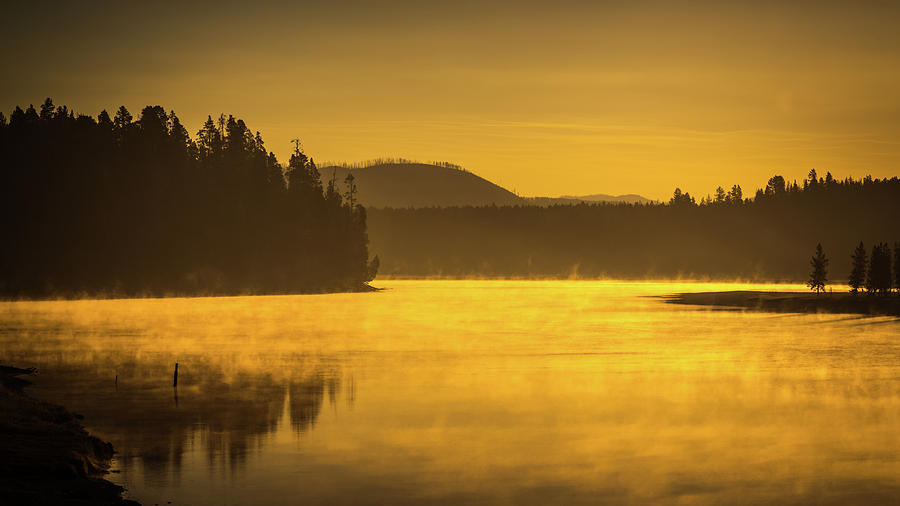 A Golden Mist Photograph by Yeates Photography