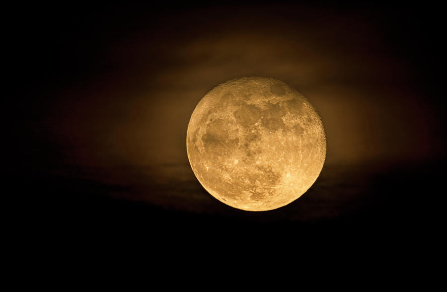 A Golden Super Moon on The Rise  Photograph by Saija Lehtonen