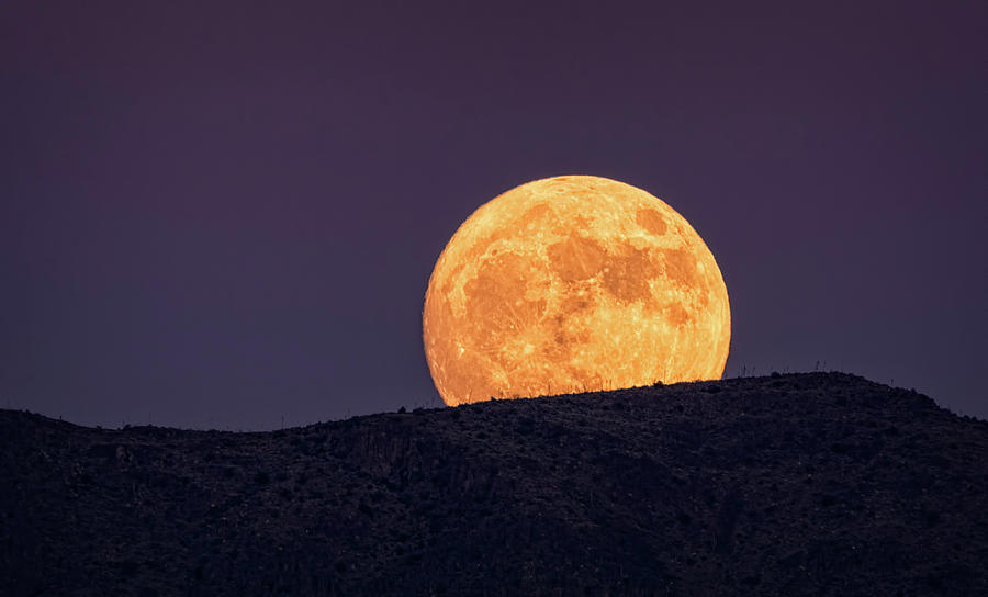 Nature Photograph - A Golden Super Moon Rising  by Saija Lehtonen