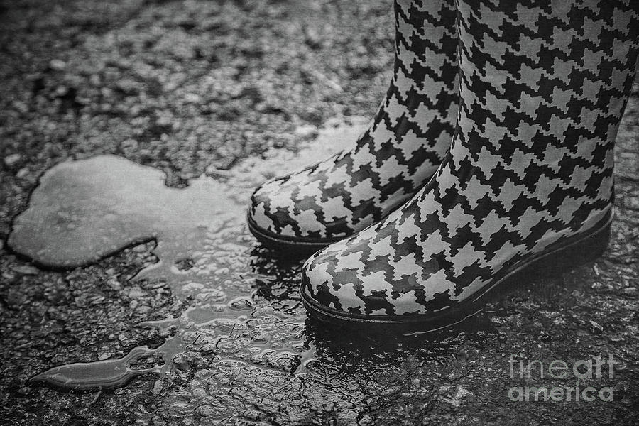 A Good Day for Rain Boots Photograph by Randy Steele
