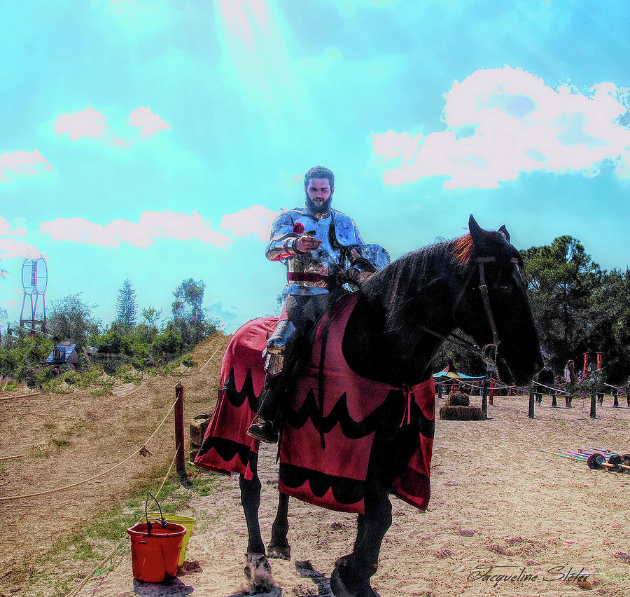 A Good Knight by Jacqueline Sleter A Good Knight by Jacqueline Sleter