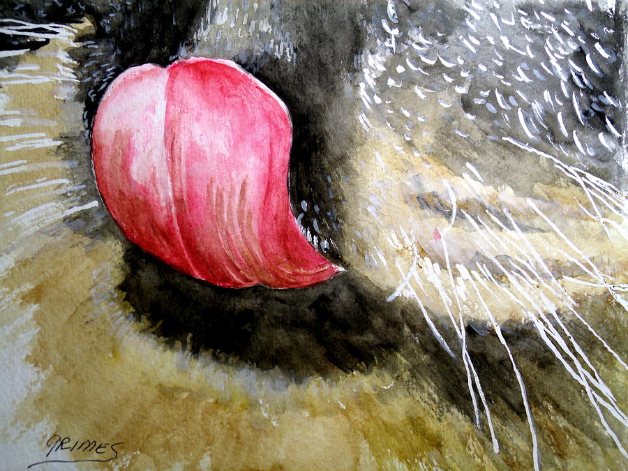 A Good Lick  Painting by Carol Grimes