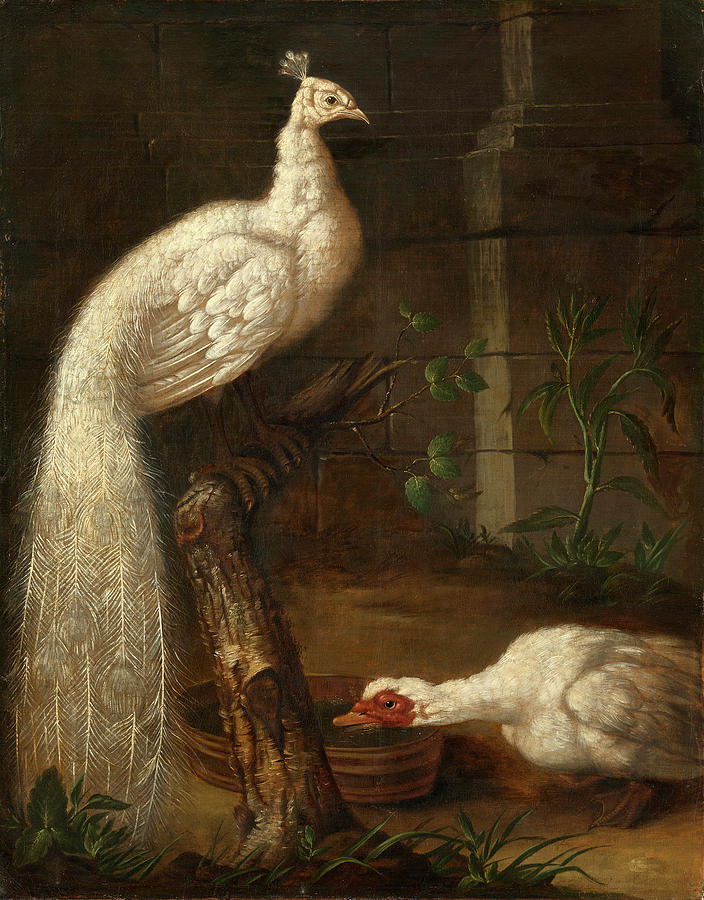 A Goose and a White Peacock Painting by Ivan Grooth