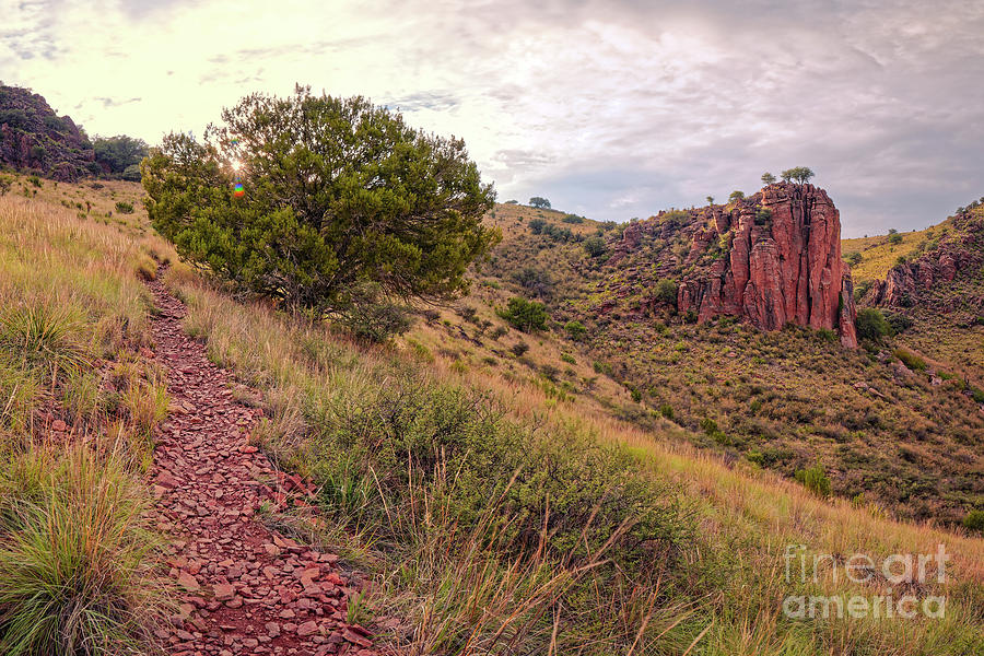 A Great Day For A Hike - Indian Lodge Trail Davis Mountains State Park - Fort Davis West Texas Photograph