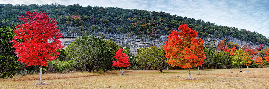 A great day for a picnic Lost Maples - Fall Foliage - Texas Hill Country  Photograph by Silvio Ligutti