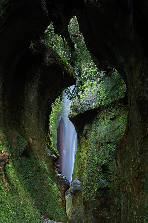 A Green Grotto Photograph by Inge Riis McDonald