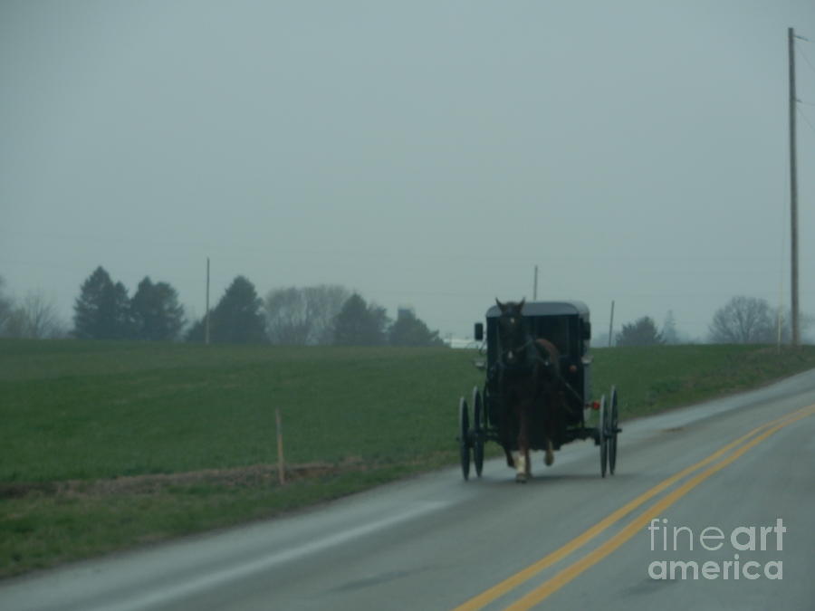 A Green Spring Day Photograph by Christine Clark - Fine Art America